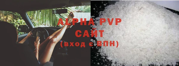 крисы Алексин
